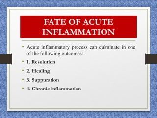 FATE OF ACUTE
INFLAMMATION
• Acute inflammatory process can culminate in one
of the following outcomes:
• 1. Resolution
• 2. Healing
• 3. Suppuration
• 4. Chronic inflammation
 