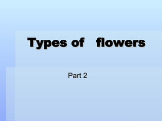 Types of  flowers Part 2 