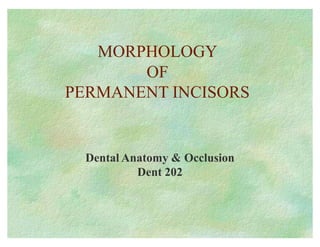 MORPHOLOGY
OF
PERMANENT INCISORS
Dental Anatomy & Occlusion
Dent 202
 