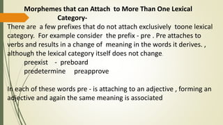 MORPHOLOGY-REPORT.pptx