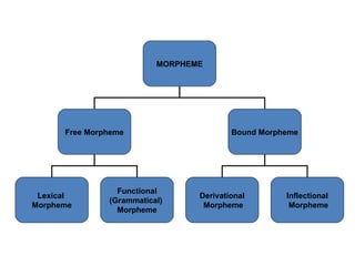 MORPHEME Free Morpheme Bound Morpheme Lexical  Morpheme Functional (Grammatical)  Morpheme Derivational Morpheme Inflectional Morpheme 