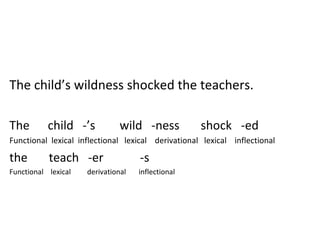 The child’s wildness shocked the teachers. The  child  -’s  wild  -ness  shock  -ed  Functional  lexical  inflectional  lexical  derivational  lexical  inflectional the  teach  -er  -s Functional  lexical  derivational  inflectional 