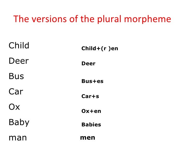 Plural Form Of Ox World Wide Words Plurals In 2019 12 26