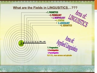 Morphology syntax | PPT