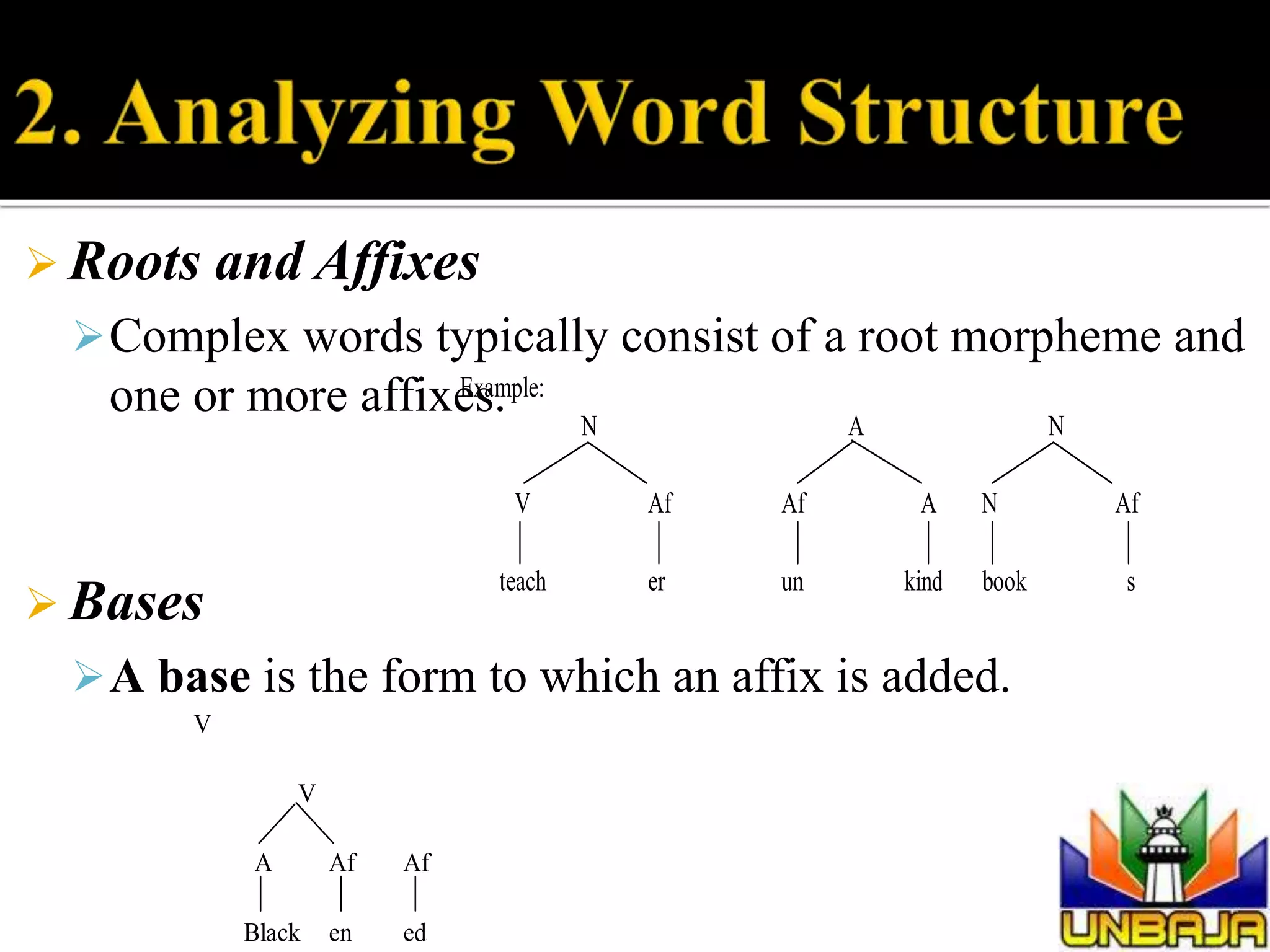  Roots and Affixes
Complex words typically consist of a root morpheme and
one or more affixes.
 Bases
A base is the form to which an affix is added.
Example:
N A N
V Af Af A N Af
teach er un kind book s
V
V
A Af Af
Black en ed
 