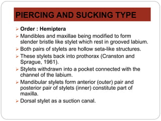 PIERCING AND SUCKING TYPE
 Order : Hemiptera
 Mandibles and maxillae being modified to form
slender bristle like stylet which rest in grooved labium.
 Both pairs of stylets are hollow seta-like structures.
 These stylets back into prothorax (Cranston and
Sprague, 1961).
 Stylets withdrawn into a pocket connected with the
channel of the labium.
 Mandibular stylets form anterior (outer) pair and
posterior pair of stylets (inner) constitute part of
maxilla.
 Dorsal stylet as a suction canal.
 