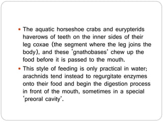  The aquatic horseshoe crabs and eurypterids
haverows of teeth on the inner sides of their
leg coxae (the segment where the leg joins the
body), and these ‘gnathobases’ chew up the
food before it is passed to the mouth.
 This style of feeding is only practical in water;
arachnids tend instead to regurgitate enzymes
onto their food and begin the digestion process
in front of the mouth, sometimes in a special
‘preoral cavity’.
 