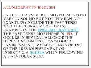 Zero Allomorph Example Morphology in linguistics for third year 1.pptx