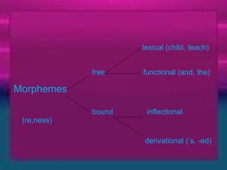 lexical (child, teach) free  functional (and, the) Morphemes   bound  inflectional (re,ness) derivational (‘s, -ed) 