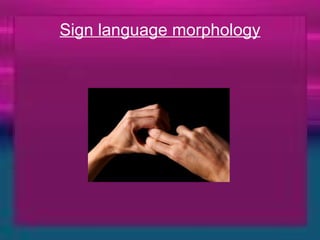 Sign language morphology 