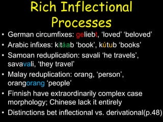 Rich Inflectional
Processes
• German circumfixes: geliebt, ‘loved’ ‘beloved’
• Arabic infixes: kitáab ‘book’, kútub ‘books’
• Samoan reduplication: savali ‘he travels’,
savavali, ‘they travel’
• Malay reduplication: orang, ‘person’,
orangorang ‘people’
• Finnish have extraordinarily complex case
morphology; Chinese lack it entirely
• Distinctions bet inflectional vs. derivational(p.48)
 
