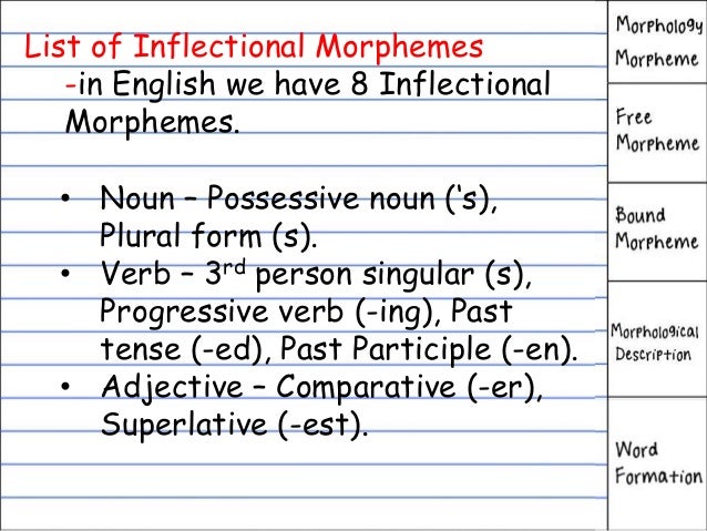 possessive adjective boy Morphology (Linguistics)