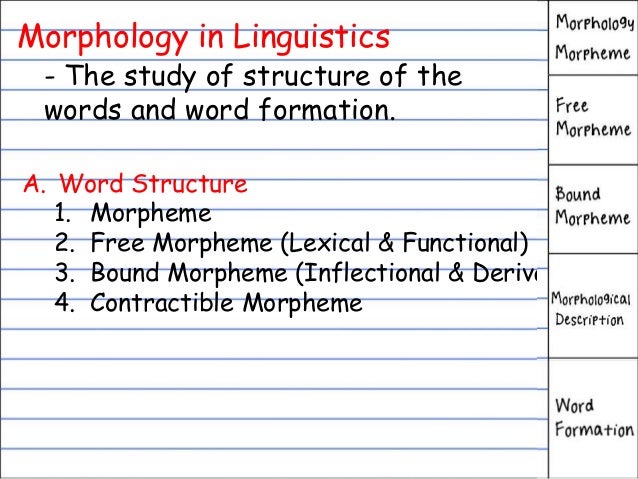 morphology linguistics morphology linguistics