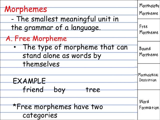 morphology linguistics morphology linguistics