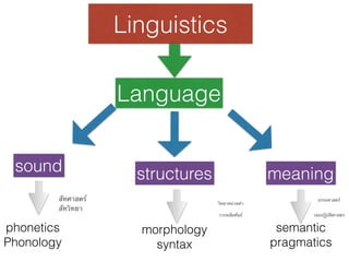 Linguistics
Language
sound structures meaning
phonetics
Phonology
morphology
syntax
semantic
pragmatics
สัทศาสตร์
สัทวิทยา
วิทยาหน่วยคำ
วากยสัมพันธ์
อรรถศาสตร์
วจนปฏิบัติศาสตร
 