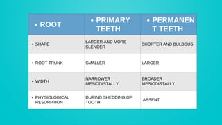 Slender Tooth Comprehensive Comparison of Deciduous and Permanent Dentition in Humans ...