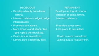 Interarch Relation Comprehensive Comparison of Deciduous and Permanent Dentition in Humans ...