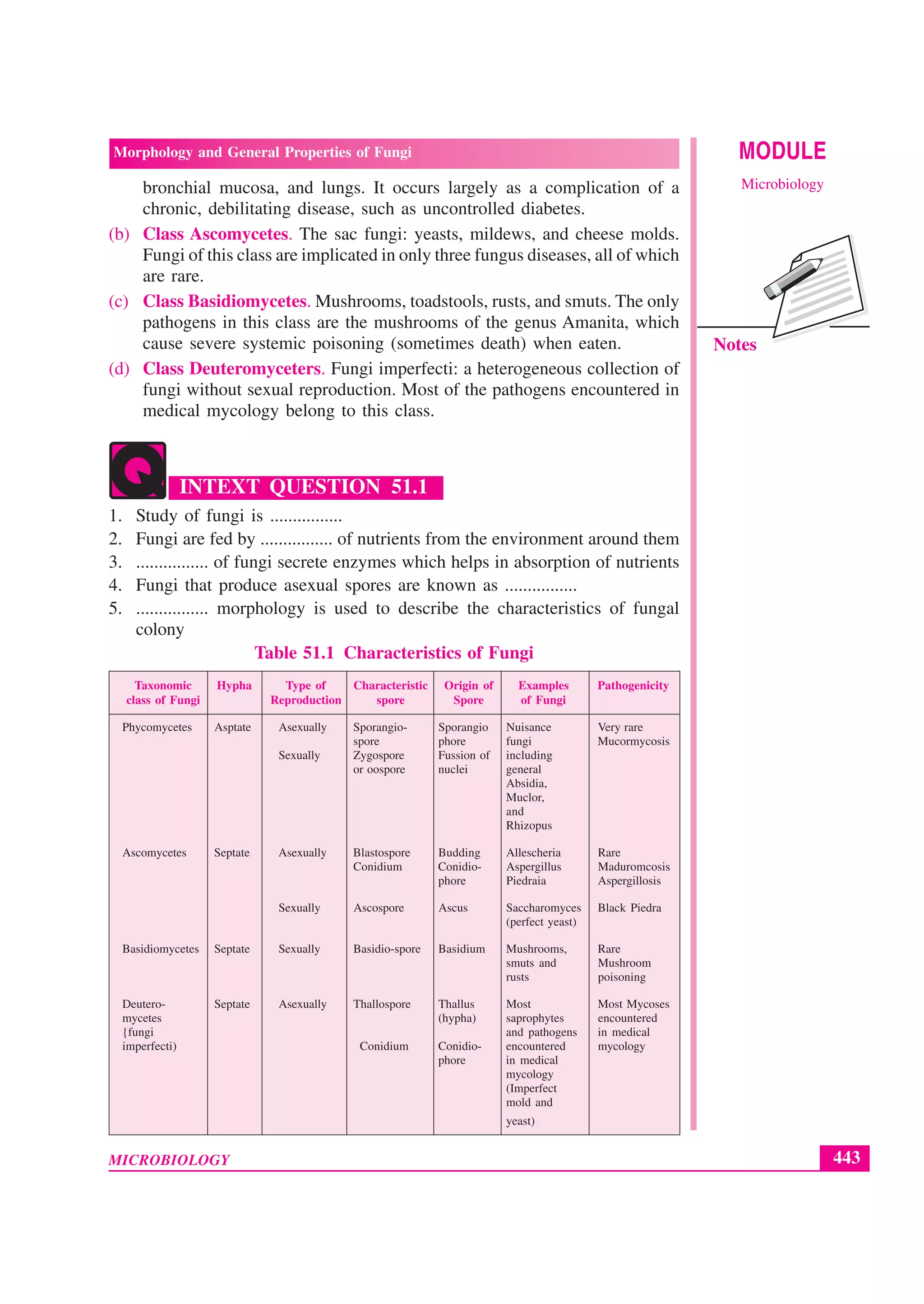 Morphology and general and general properties of fungi | PDF