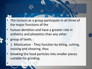 • The incisors as a group participate in all three of
the major functions of the
• human dentition and have a greater role in
esthetics and phonetics than any other
• group of teeth.
• 1. Mastication - They function by biting, cutting,
incising and shearing, thus
• breaking the food particles into smaller pieces
suitable for grinding.
• .

 
