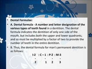 • Dental Formulae:
• A. Dental formula - A number and letter designation of the
various types of teeth found in a dentition. The dental
formula indicates the dentition of only one side of the
mouth, but includes both the upper and lower quadrants,
and so must be multiplied by a factor of two to provide the
number of teeth in the entire dentition.
• B. Thus, the dental formula for man's permanent dentition is
as follows:
I-2 : C – 1 : P-2 : M-3
2
1
2
3

 
