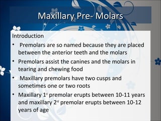 Maxillary Pre- Molars
Introduction
• Premolars are so named because they are placed
between the anterior teeth and the molars
• Premolars assist the canines and the molars in
tearing and chewing food
• Maxillary premolars have two cusps and
sometimes one or two roots
• Maxillary 1st premolar erupts between 10-11 years
and maxillary 2nd premolar erupts between 10-12
years of age

 