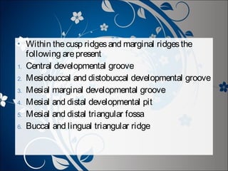 

1.
2.
3.
4.
5.
6.

Within the cusp ridges and marginal ridges the
following are present
Central developmental groove
Mesiobuccal and distobuccal developmental groove
Mesial marginal developmental groove
Mesial and distal developmental pit
Mesial and distal triangular fossa
Buccal and lingual triangular ridge

 