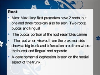 Root
 Most Maxillary first premolars have 2 roots, but
one and three roots can also be seen. Two roots;
buccal and lingual
 The buccal portion of the root resembles canine
•

The root when viewed from the proximal side
shows a big trunk and bifurcation area from where
the buccal and lingual root separate

 A developmental depression is seen on the mesial
aspect of the trunk.

 