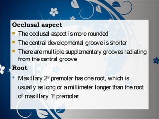 Occlusal aspect
 The occlusal aspect is more rounded
 The central developmental groove is shorter
 There are multiple supplementary grooves radiating
from the central groove
Root
 Maxillary 2nd premolar has one root, which is
usually as long or a millimeter longer than the root
of maxillary 1st premolar

 