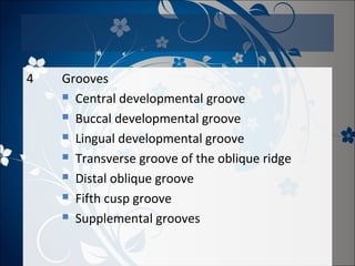 4

Grooves
 Central developmental groove
 Buccal developmental groove
 Lingual developmental groove
 Transverse groove of the oblique ridge
 Distal oblique groove
 Fifth cusp groove
 Supplemental grooves

 