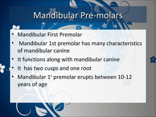 Mandibular Pre-molars
• Mandibular First Premolar
• Mandibular 1st premolar has many characteristics
of mandibular canine
• It functions along with mandibular canine
• It has two cusps and one root
• Mandibular 1st premolar erupts between 10-12
years of age

 