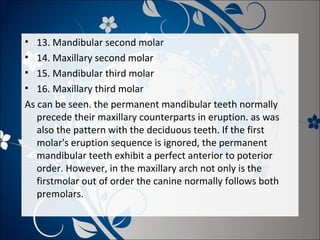 •
•
•
•

13. Mandibular second molar
14. Maxillary second molar
15. Mandibular third molar
16. Maxillary third molar
As can be seen. the permanent mandibular teeth normally
precede their maxillary counterparts in eruption. as was
also the pattern with the deciduous teeth. If the first
molar's eruption sequence is ignored, the permanent
mandibular teeth exhibit a perfect anterior to poterior
order. However, in the maxillary arch not only is the
firstmolar out of order the canine normally follows both
premolars.

 