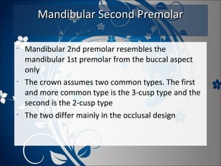 Mandibular Second Premolar
•

•

•

Mandibular 2nd premolar resembles the
mandibular 1st premolar from the buccal aspect
only
The crown assumes two common types. The first
and more common type is the 3-cusp type and the
second is the 2-cusp type
The two differ mainly in the occlusal design

 