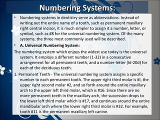 Numbering Systems:
• Numbering systems in dentistry serve as abbreviations. Instead of
writing out the entire name of a tooth, such as permanent maxillary
right central incisor, it is much simpler to assign it a number, letter, or
symbol, such as #8 for the universal numbering system. Of the many
systems, the three most commonly used will be described.
• A. Universal Numbering System:
The numbering system which enjoys the widest use today is the universal
system. It employs a different number (1-32) in a consecutive
arrangement for all permanent teeth, and a number-letter (ld-20d) for
each of the deciduous teeth.
1. Permanent Teeth - The universal numbering system assigns a specific
number to each permanent tooth. The upper right third molar is #I, the
upper right second molar #2, and so forth around the entire maxillary
arch to the upper left third molar, which is #16. Since there are no
more permanent teeth in the maxillary arch, the succession drops to
the lower left third molar which is #17, and continues around the entire
mandibular arch where the lower right third molar is #32. For example,
tooth #11 is the permanent maxillary left canine.

 