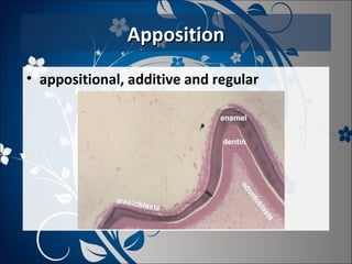 Apposition
• appositional, additive and regular

 