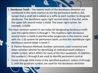2. Deciduous Teeth - The twenty teeth of the deciduous dentition are
numbered in the same manner as are the permanent teeth (1-20),
except that a small (d) is added as a suffix to each number to designate
deciduous. The deciduous upper right second molar is thus #Id, while
the upper left second molar is #10d. The lower right canine, for
example, is #18d.
The most common system in use today for designating deciduous teeth
uses the capital letters A through T. The maxillary right deciduous
second molar is tooth A and the order progresses in the manner used
with the 1-32 system for permanent teeth, so that the mandibular right
deciduous second molar is tooth T.
• B. Palmer Notation Method: Another commonly used numerical and
letter notation scheme for identifying an individual tooth utilizes a
simple symbol, which differs for each of the four quadrants. In addition,
the numbers 1 through 8 are used to identify permanent central
• incisor through third molar in the specified quadrant. Letters A through
E, with the quadrant symbol, are used for the deciduous dentition

 