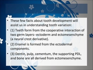 • These few facts about tooth development will
assist us in understanding tooth variation:
• (1) Teeth form from the cooperative interaction of
two germ layers--ectoderm and ectomesenchyme
(a neural crest derivative).
• (2) Enamel is formed from the ectodermal
components.
• (3) Dentin, pulp, cementum, the supporting PDL,
and bone are all derived from ectomesenchyme.

 