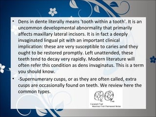 • Dens in dente literally means 'tooth within a tooth'. It is an
uncommon developmental abnormality that primarily
affects maxillary lateral incisors. It is in fact a deeply
invaginated lingual pit with an important clinical
implication: these are very susceptible to caries and they
ought to be restored promptly. Left unattended, these
teeth tend to decay very rapidly. Modern literature will
often refer this condition as dens invaginatus. This is a term
you should know.
• -Supernumerary cusps, or as they are often called, extra
cusps are occasionally found on teeth. We review here the
common types.

 