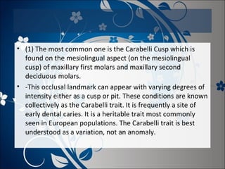 • (1) The most common one is the Carabelli Cusp which is
found on the mesiolingual aspect (on the mesiolingual
cusp) of maxillary first molars and maxillary second
deciduous molars.
• -This occlusal landmark can appear with varying degrees of
intensity either as a cusp or pit. These conditions are known
collectively as the Carabelli trait. It is frequently a site of
early dental caries. It is a heritable trait most commonly
seen in European populations. The Carabelli trait is best
understood as a variation, not an anomaly.

 
