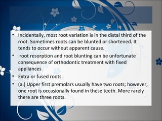 • Incidentally, most root variation is in the distal third of the
root. Sometimes roots can be blunted or shortened. It
tends to occur without apparent cause.
• root resorption and root blunting can be unfortunate
consequence of orthodontic treatment with fixed
appliances
• Extra or fused roots.
• (a.) Upper first premolars usually have two roots; however,
one root is occasionally found in these teeth. More rarely
there are three roots.

 