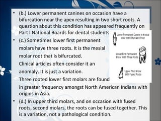 • (b.) Lower permanent canines on occasion have a
bifurcation near the apex resulting in two short roots. A
question about this condition has appeared frequently on
Part I National Boards for dental students.
• (c.) Sometimes lower first permanent
molars have three roots. It is the mesial
molar root that is bifurcated.
Clinical articles often consider it an
anomaly. It is just a variation.
Three rooted lower first molars are found
in greater frequency amongst North American Indians with
origins in Asia.
• (d.) In upper third molars, and on occasion with fused
roots, second molars, the roots can be fused together. This
is a variation, not a pathological condition.

 