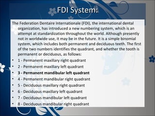 FDI System:
The Federation Dentaire Internationale (FDI), the international dental
organization, has introduced a new numbering system, which is an
attempt at standardization throughout the world. Although presently
not in worldwide use, it may be in the future. It is a simple binomial
system, which includes both permanent and deciduous teeth. The first
of the two numbers identifies the quadrant, and whether the tooth is
permanent or deciduous, as follows:
• 1 - Permanent maxillary right quadrant
• 2 - Permanent maxillary left quadrant
• 3 - Permanent mandibular left quadrant
• 4 - Permanent mandibular right quadrant
• 5 - Deciduous maxillary right quadrant
• 6 - Deciduous maxillary left quadrant
• 7 - Deciduous mandibular left quadrant
• 8 - Deciduous mandibular right quadrant

 