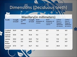 Dimensions (Deciduous teeth)
Maxillary(in millimeters)

 