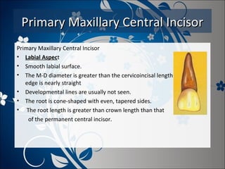 Primary Maxillary Central Incisor
Primary Maxillary Central Incisor
• Labial Aspect
• Smooth labial surface.
• The M-D diameter is greater than the cervicoincisal length. • Incisal
edge is nearly straight
• Developmental lines are usually not seen.
• The root is cone-shaped with even, tapered sides.
• The root length is greater than crown length than that
of the permanent central incisor.

 