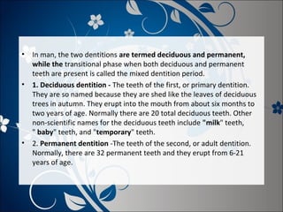 •

In man, the two dentitions are termed deciduous and permanent,
while the transitional phase when both deciduous and permanent
teeth are present is called the mixed dentition period.
• 1. Deciduous dentition - The teeth of the first, or primary dentition.
They are so named because they are shed like the leaves of deciduous
trees in autumn. They erupt into the mouth from about six months to
two years of age. Normally there are 20 total deciduous teeth. Other
non-scientific names for the deciduous teeth include "milk" teeth,
" baby" teeth, and "temporary" teeth.
• 2. Permanent dentition -The teeth of the second, or adult dentition.
Normally, there are 32 permanent teeth and they erupt from 6-21
years of age.

 