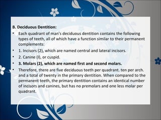 B. Deciduous Dentition:
• Each quadrant of man's deciduous dentition contains the following
types of teeth, all of which have a function similar to their permanent
complements:
• 1. Incisors (2), which are named central and lateral incisors.
• 2. Canine (I), or cuspid.
• 3. Molars (2), which are named first and second molars.
• Therefore, there are five deciduous teeth per quadrant. ten per arch.
and a total of twenty in the primary dentition. When compared to the
permanent teeth, the primary dentition contains an identical number
of incisors and canines, but has no premolars and one less molar per
quadrant.

 