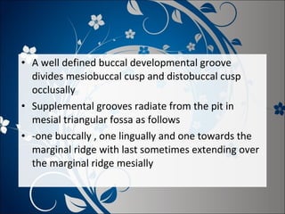 • A well defined buccal developmental groove
divides mesiobuccal cusp and distobuccal cusp
occlusally
• Supplemental grooves radiate from the pit in
mesial triangular fossa as follows
• -one buccally , one lingually and one towards the
marginal ridge with last sometimes extending over
the marginal ridge mesially

 