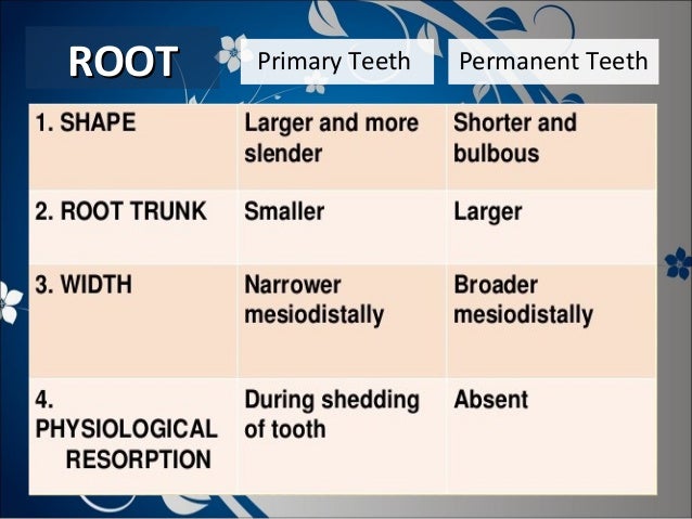 DIFFERENCE BETWEEN CHILD AND ADULT DENTAL CLEANINGS