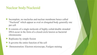 morphology and phsiology of bacteria.pptx