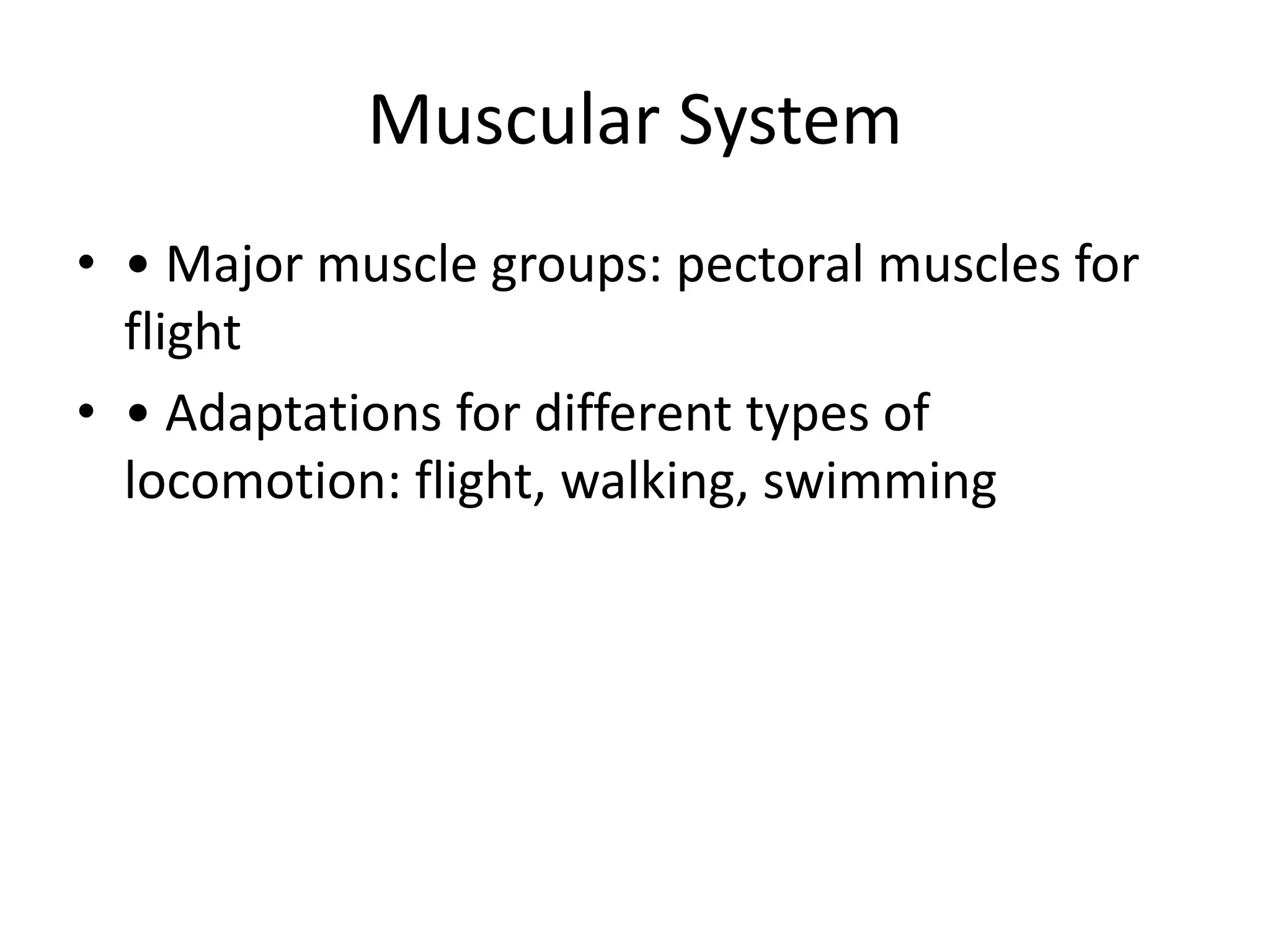 Morphology And Physiology Of Bird S Pptx Morphology And Physiology Of Bird S Pptx