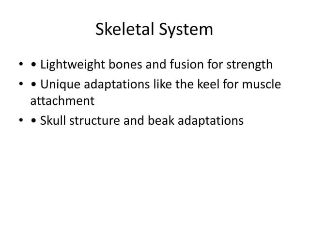 Morphology And Physiology Of Bird S Pptx Morphology And Physiology Of Bird S Pptx